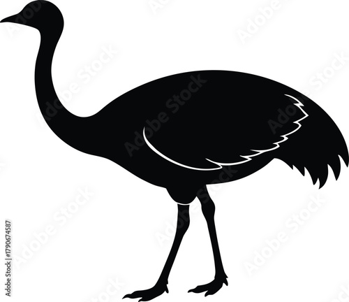 Emu bird silhouette. Large Australian flightless bird vector icon