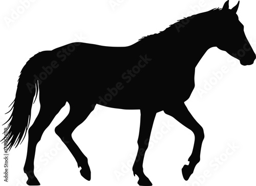 Horse silhouette, walking vector illustration, animal motion, equine design, black outline, trotting horse, wild nature, farm animal, graceful movement, digital artwork