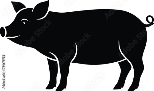 Pig graphic design, Isolated farm animal element