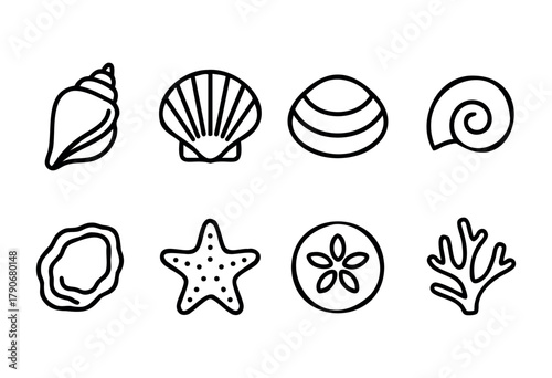 Different ocean elements are arranged in a neat line, featuring various shells, a starfish, and coral. The design is simple and outlines these marine treasures clearly.
