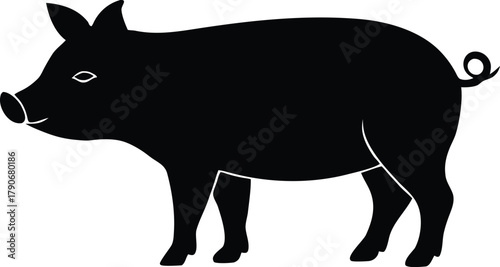 Pig vector illustration, Isolated farm animal graphic