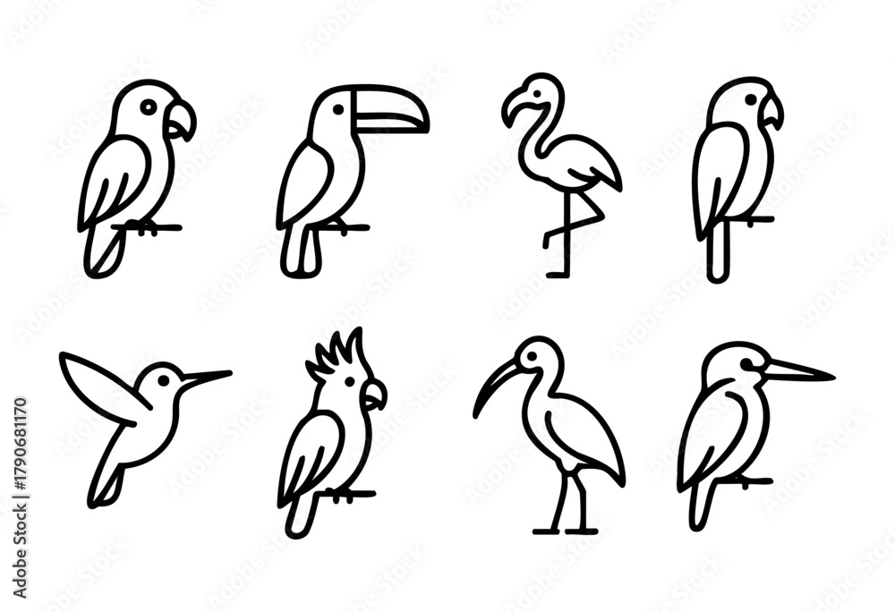 Fototapeta premium Various bird species are illustrated in clean line art, each demonstrating distinctive shapes and postures, perfect for educational or decorative use.