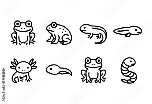 Fun cartoon drawings showcase different stages in the life cycle of frogs and salamanders, including tadpoles and axolotls, providing a playful look at these amphibious creatures.