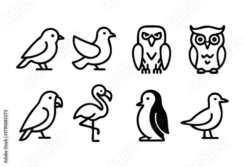 A variety of bird illustrations are displayed in a clean and minimalistic design, showcasing different species like owls, flamingos, and penguins in black outline.