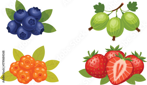 Berry fruit illustration set, strawberry blueberry gooseberry cloudberry artwork, colorful vector clipart, healthy food design, cad style drawing graphic