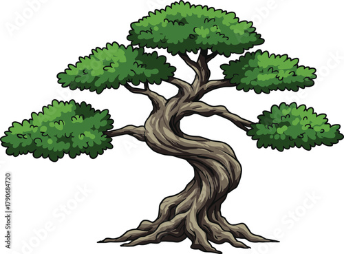 Cad drawing flat vector illustration, bonsai tree with twisted trunk and dense foliage, Japanese art symbol of harmony patience care