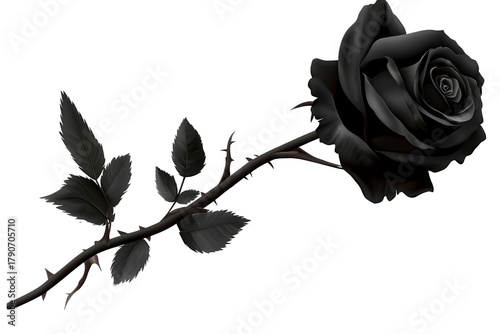 Enigmatic black rose with thorns isolated on a transparent background showcasing elegance and mystery in a unique floral display