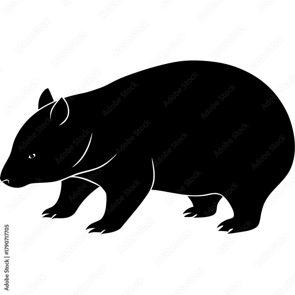 Fototapeta premium silhouette of a bear