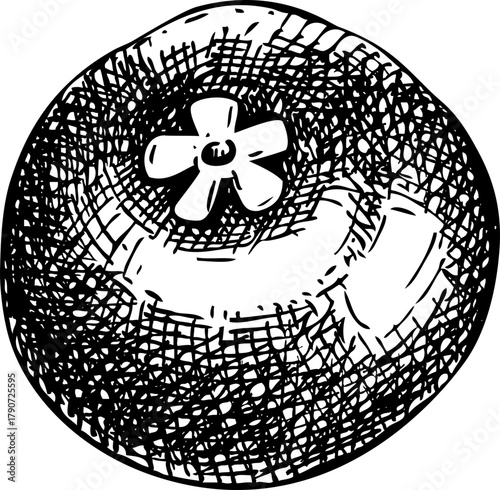 Mangosteen - tropical plant sketch. Exotic fruit hand drawn vector illustration NOT AI generated