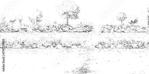 Black and white sketch of trees and vegetation reflected in water drawing illustration
