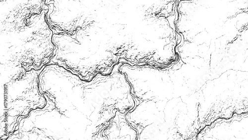 Black and white abstract topographic map lines and textured background vector