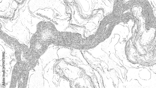 Black and white topographic map contour lines showing elevation changes and terrain features vector