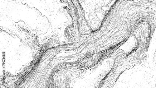 Black and white abstract contour lines forming organic patterns texture