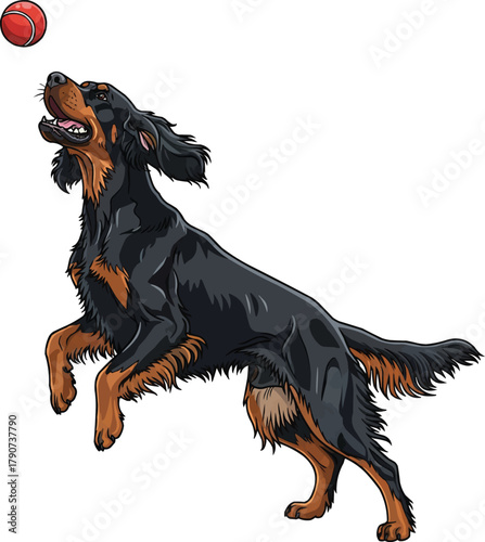 Gordon Setter dog playing fetch with ball vector illustration