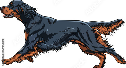 Gordon Setter dog running energetic flowing fur vector illustration