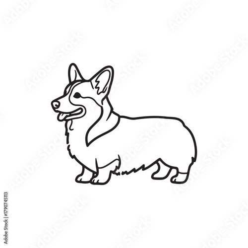 Pembroke welsh corgi outline vector flat illustration