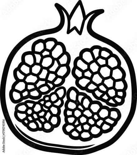 Pomegranate illustration, showcasing its seeds and unique internal structure in detail for simple coloring book