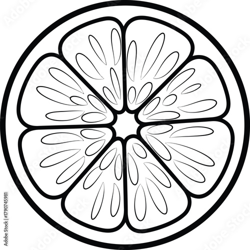 Illustration of a sliced orange, showcasing its juicy segments and refreshing appearance for simple coloring book