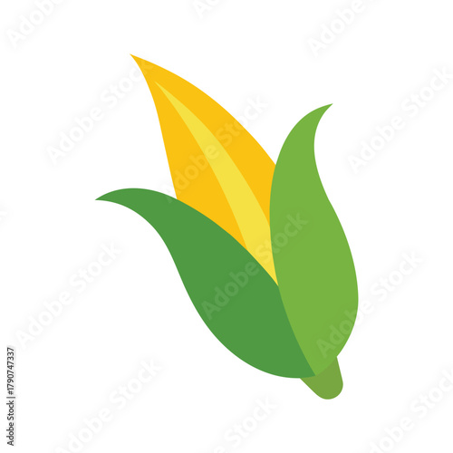 corn husk peeling open vector