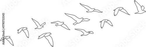 A flock of birds flies in formation against a white background.