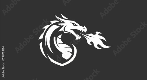 Stylized dragon illustration on black background for emblem and design