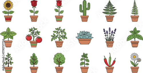A collection of potted plants including flowers, vegetables, and herbs.