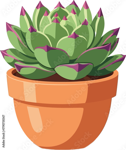 A close-up illustration of a green succulent plant in an orange terracotta pot.