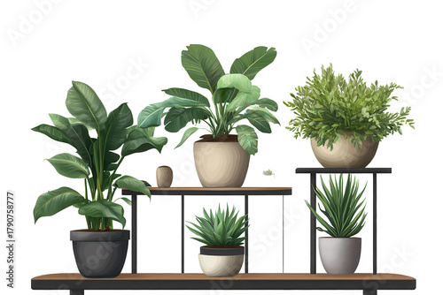 Beautiful plant stand with various types of greenery in decorative pots arranged on a minimalist shelf against a transparent background