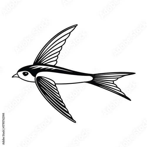 dynamic flying fish line single stroke gliding
