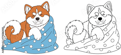 Adorable Sleeping Shiba Inu Puppy Wrapped in a Polka Dot Blanket - Cute Vector Illustration for Kids and Coloring Books