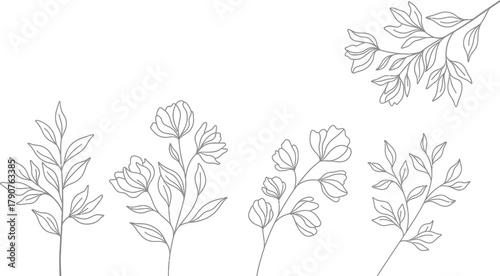 Delicate line art illustrations of blooming flowers and leaves against a white background.