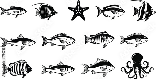 A collection of diverse fish species and a starfish are depicted in a graphic illustration.