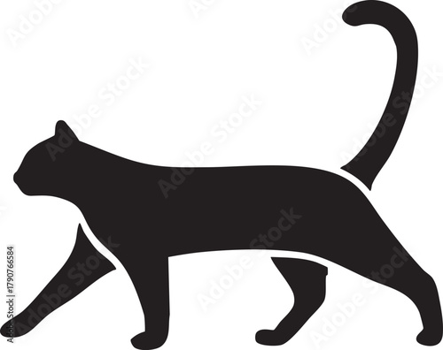 Photography cat silhouette vector