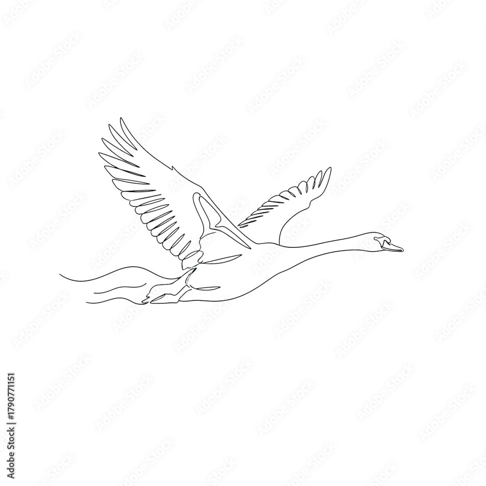 Obraz premium A minimalist black line drawing of a swan isolated on transparent background