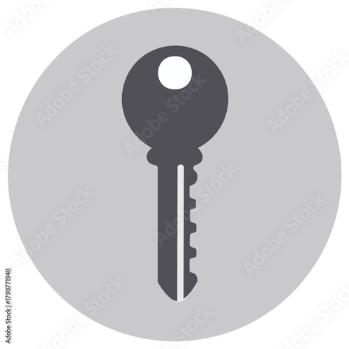 Modern dark gray key icon inside a light gray circle