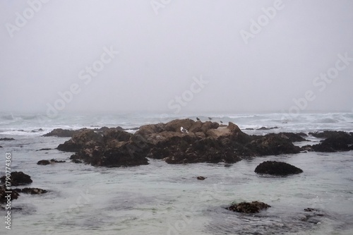 Foggy coastal landscape with sea rocks and gentle waves along Monterey Bay, California. Peaceful