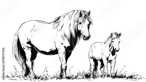 Elegant Black and White Horse and Pony Vector Illustration for Graphic Design Projects