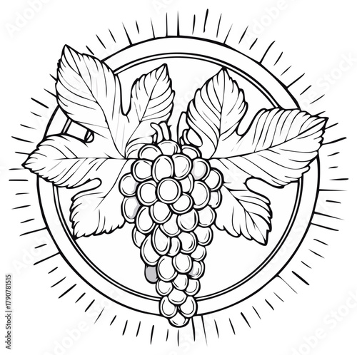 Grape Cluster and Leaves Emblem in Circle with Rays