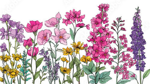 Beautiful Garden Flowers Vector Drawing for Professional Graphic Design Projects