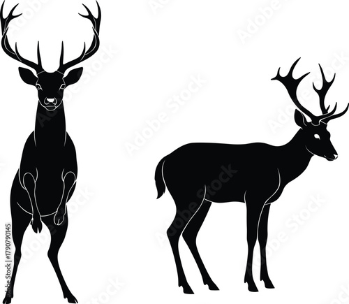 Deer silhouette illustration, antler posture contrast, wildlife stance comparison, black vector art, animal design, nature symbol, graceful creature reference