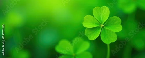 Vibrant green clover, four leaves, crisp detail , plant, healthy, lucky clover