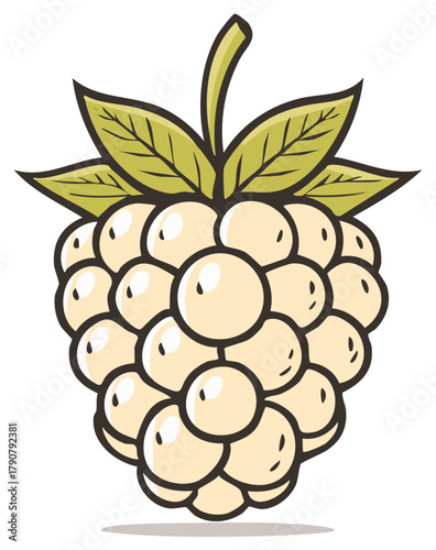 Stylized illustration of a ripe white raspberry with green leaves and stem