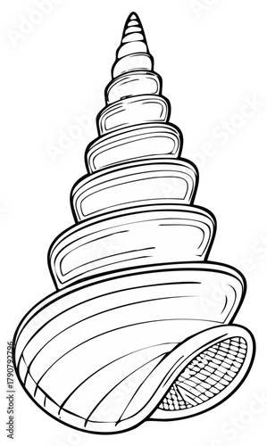 Black and white line art illustration of a spiral turret seashell for a coloring book