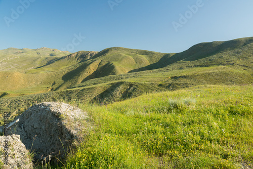 Mountain landscape mountain forest on a sunny morning