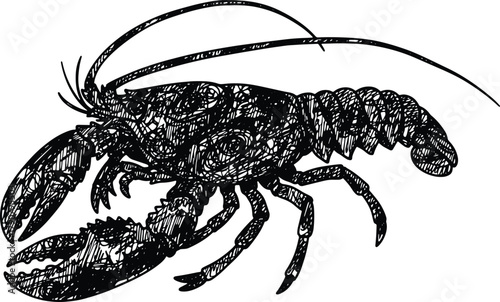 Detailed Sketch of a Lobster with Large Claws and Antennae
