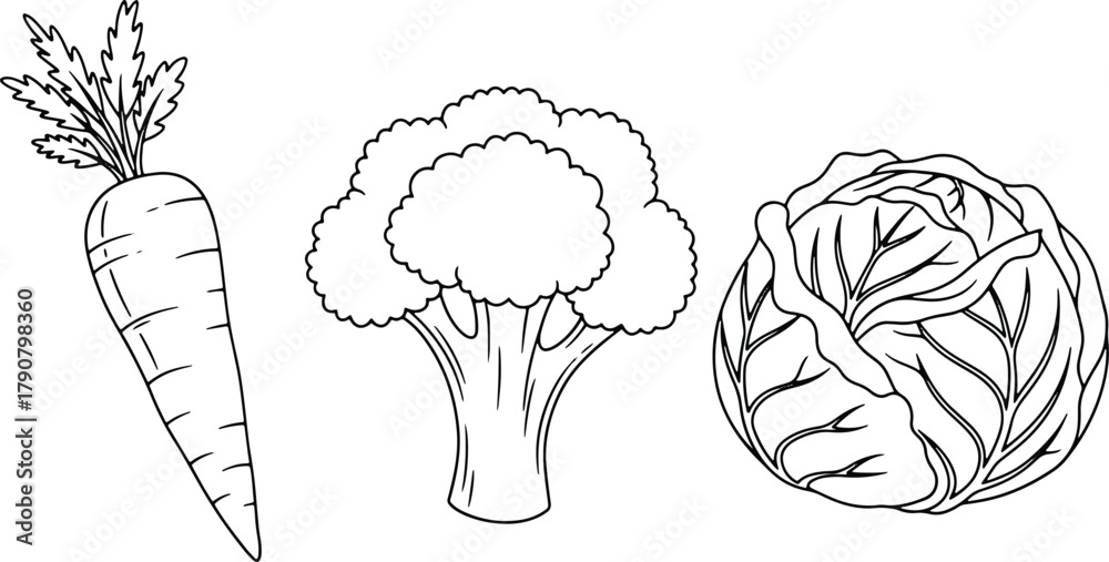 Fototapeta premium Illustration of Fresh Vegetables including Carrot Broccoli and Cabbage