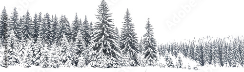 Snowy pine trees stand tall in a winter wonderland landscape on a cloudy day