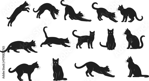 Collection of black cat silhouettes in various poses, playful feline vector design, domestic pet animal illustration, minimalistic modern cat artwork set