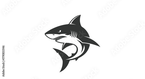 Shark silhouette graphic vector illustration isolated on white background