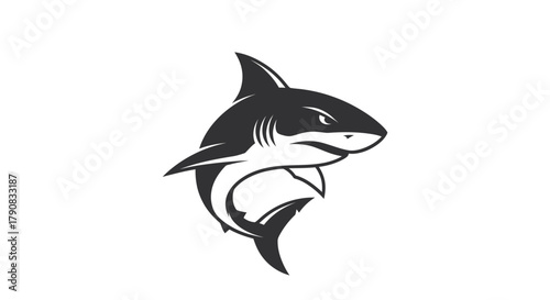 Shark silhouette graphic vector illustration isolated on white background